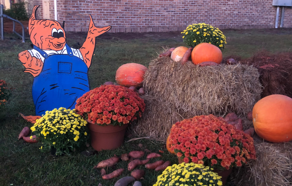 2024 North Carolina Yam Festival