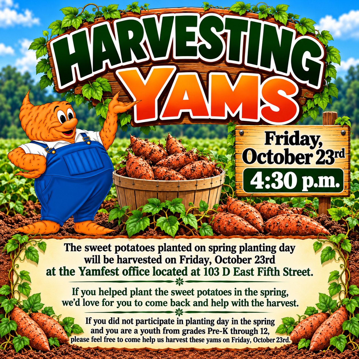 Harvesting Yams, Friday, October 23rd, 4:30 p.m. The sweet potatoes planted on spring planting day will be harvested at the Yamfest office, 103 D East Fifth Street. If you helped plant in the spring, come back and help with the harvest. Youth in grades Pre-K through 12 who did not take part in planting day are welcome to help too.